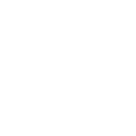 Made in NYC
